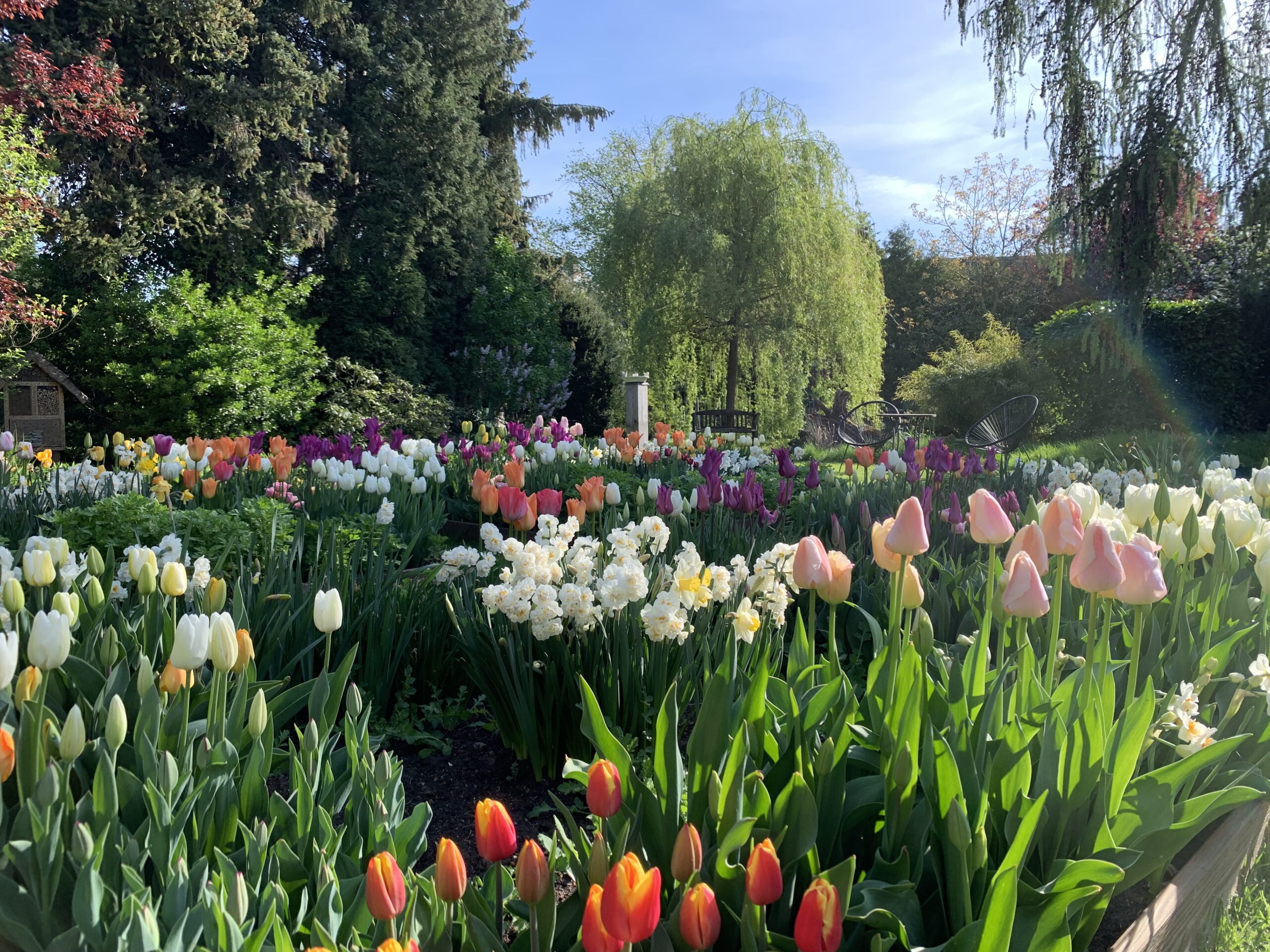 Rheinblüten Garten